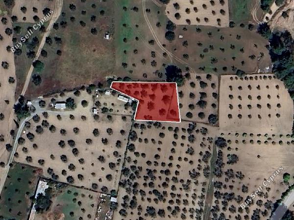 land for sale kornos larnaca 8705057 image 16242310