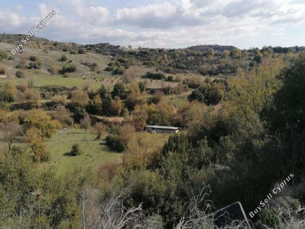 land for sale psathi paphos 8659057 image 17011352