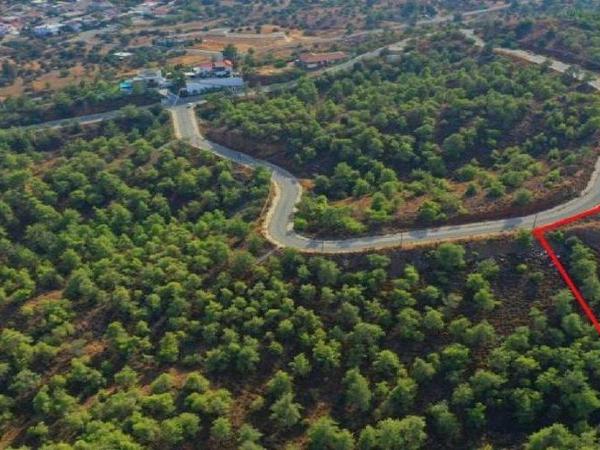 plot for sale kornos larnaca 1568057 image 16188154