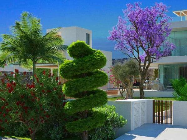 4 bedroom detached house for sale secret valley paphos 1916157 image 7431963