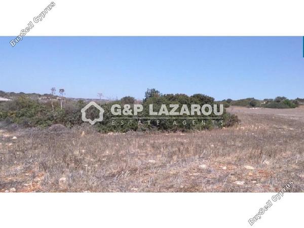 land for sale agios theodoros larnacas larnaca 1688157 image 6010268