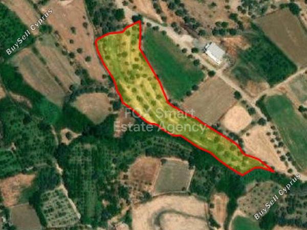 land for sale evrychou nicosia 1151157 image 5129092
