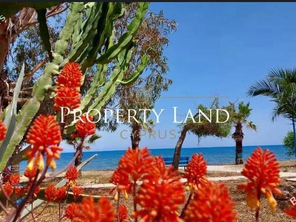 2 bedroom semi detached house for rent meneou larnaca 8863257 image 17373228