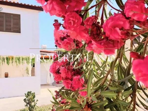 2 bedroom semi detached house for rent meneou larnaca 8863257 image 17373231