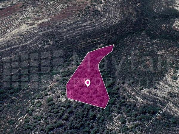 land for sale agios therapon limassol 7872257 image 11384661