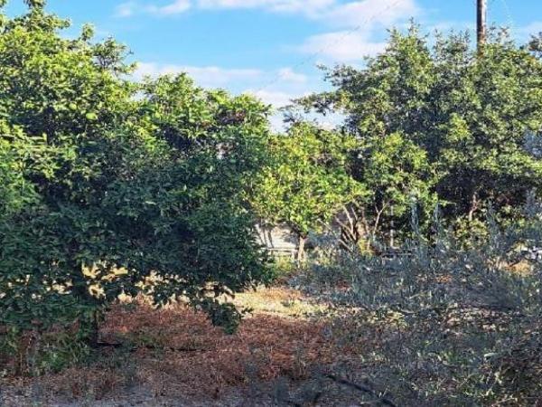 4 bedroom detached house for sale pera orinis nicosia 1506357 image 16252033
