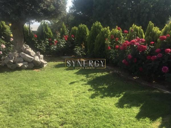 5 bedroom detached house for rent mesogi paphos 8745357 image 16431078