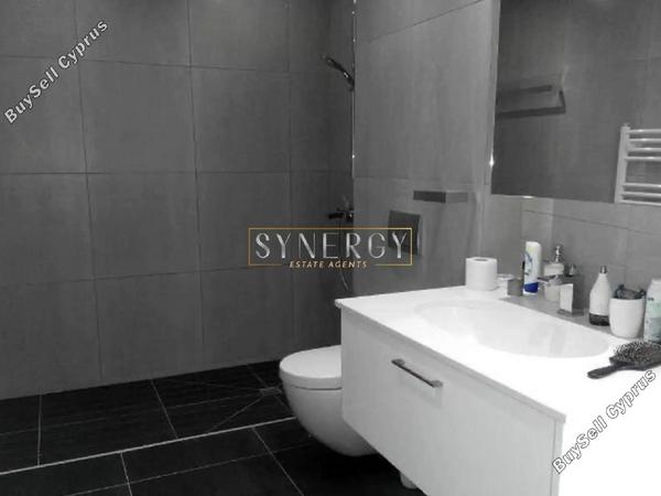 5 bedroom detached house for rent mesogi paphos 8745357 image 16431090