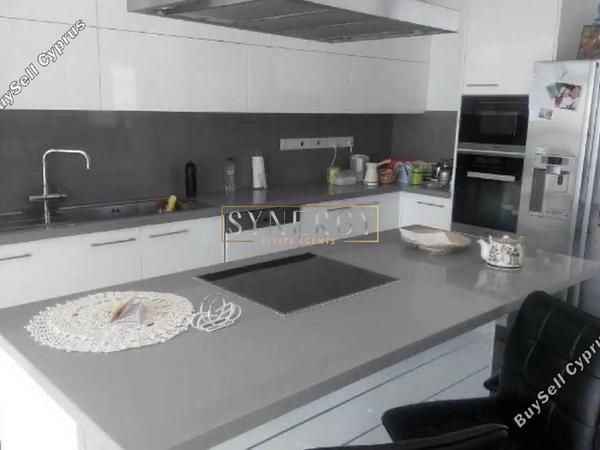 5 bedroom detached house for rent mesogi paphos 8745357 image 16431106