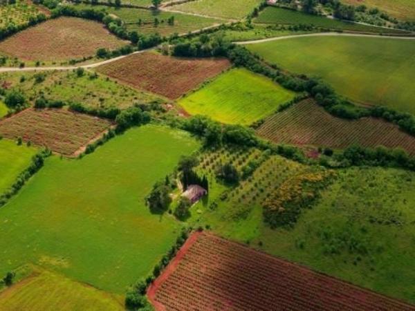 land for sale dromolaxia larnaca 7738357 image 10201373