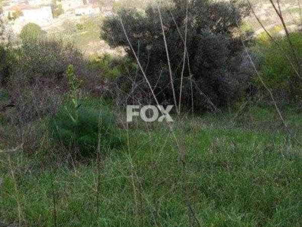 land for sale letymvou paphos 1159457 image 14827124