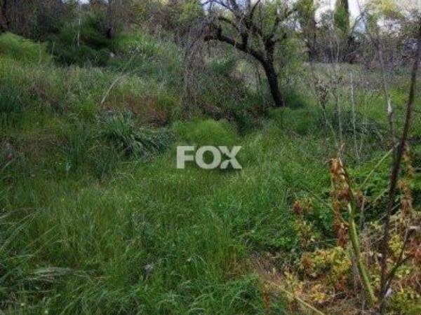 land for sale letymvou paphos 1159457 image 14827125