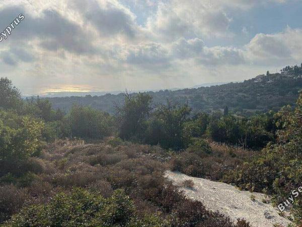 land for sale tala paphos 1435457 image 5584236