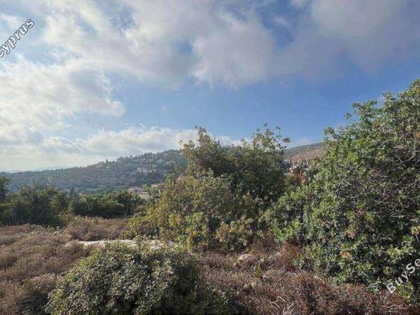 land for sale tala paphos 1435457 image 5584240