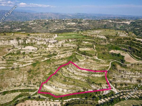 land for sale tsada paphos 1897457 image 14205721