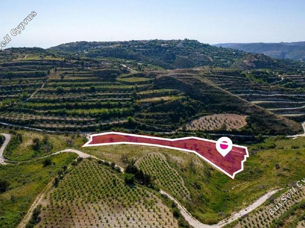 land for sale tsada paphos 1897457 image 14205722