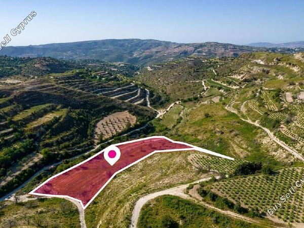 land for sale tsada paphos 1897457 image 14205723