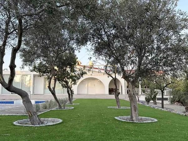 4 bedroom detached house for rent moni limassol 8560557 image 17500286