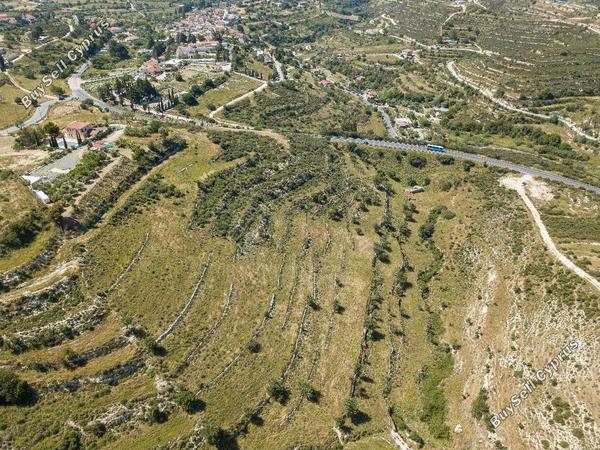land for sale agios ambrosios limassol 853557 image 15601719