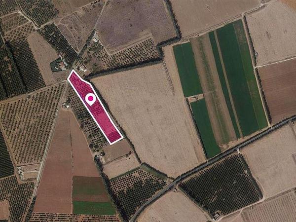 plot for sale asomatos lemesou limassol 8468557 image 15192542