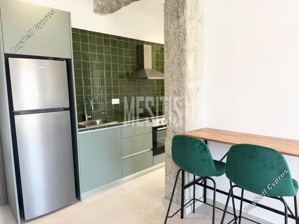 1 bedroom apartment for rent aglantzia nicosia 1908657 image 16437927