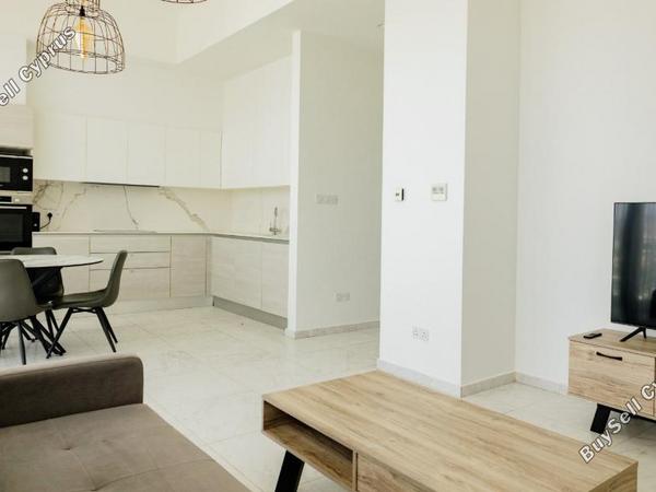 2 bedroom apartment for rent mesa gitonia limassol 8338657 image 14621420