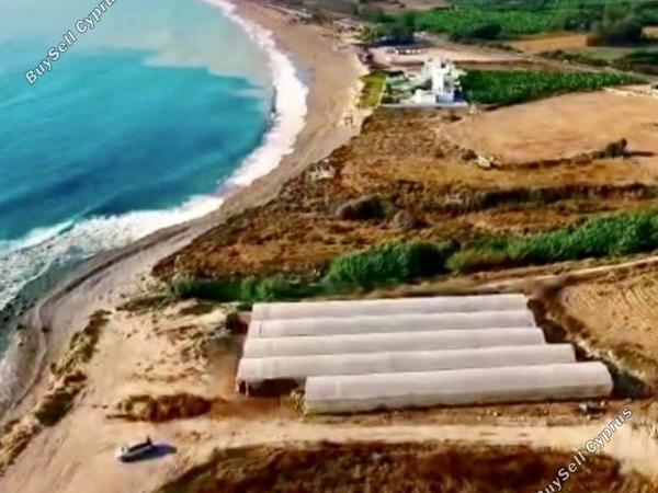 land for sale kissonerga paphos 1611657 image 5572136