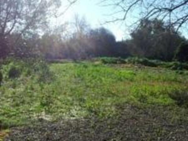 studio building for sale paphos municipality paphos 1480657 image 12369534