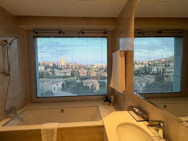 2 bedroom apartment for sale pyrgos limassol limassol 1561757 image 3896721