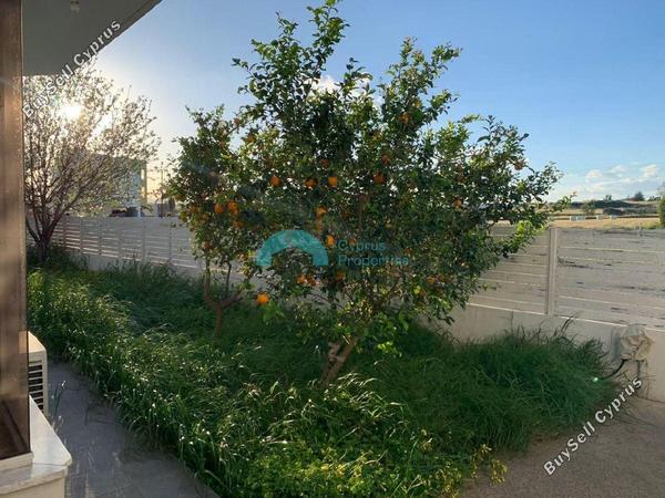 3 bedroom detached house for rent livadia larnacas larnaca 8809757 image 16816419