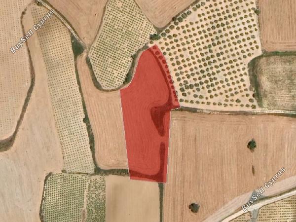 land for sale akoursos paphos 987757 image 16700907