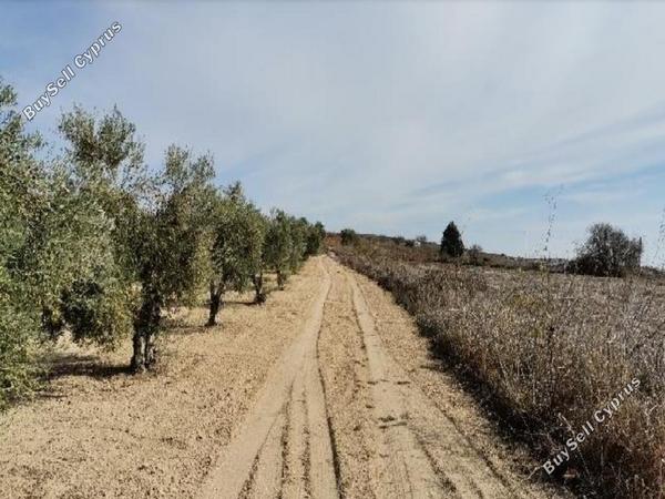 land for sale akoursos paphos 987757 image 16700908