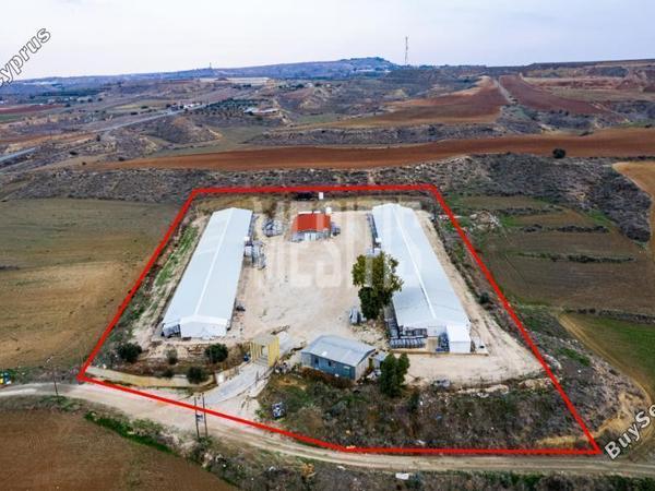 land for sale apostolos andreas limassol limassol 1618757 image 10508517