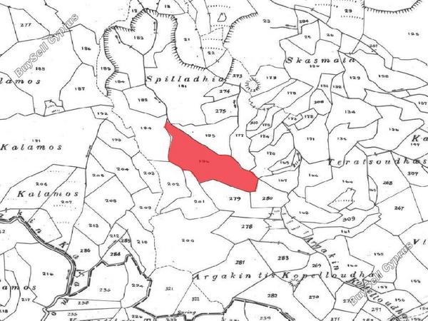 land for sale amargeti paphos 1262857 image 15600915