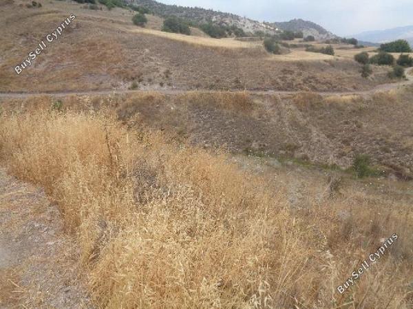 land for sale amargeti paphos 1262857 image 15600918