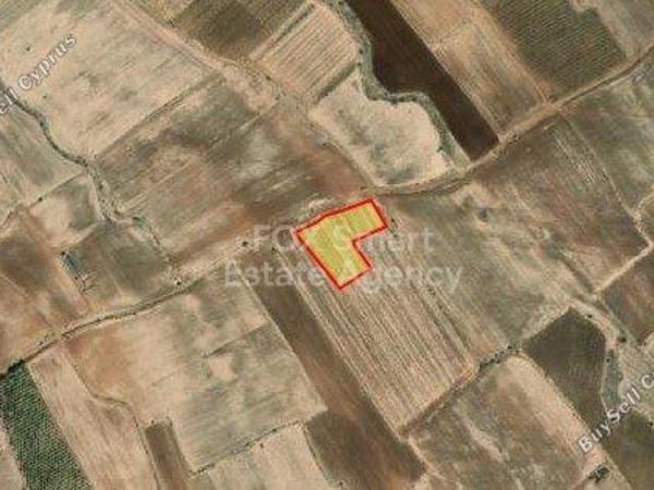 land for sale kato koutrafas nicosia 8764857 image 16552914
