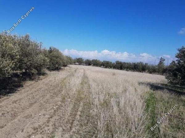 land for sale klirou nicosia 1061857 image 16168472
