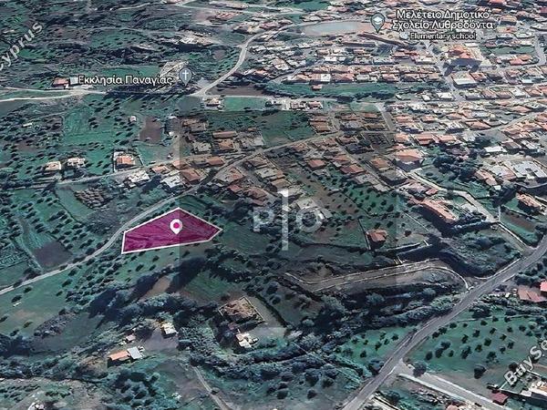 land for sale lythrodontas nicosia 8274857 image 15155735