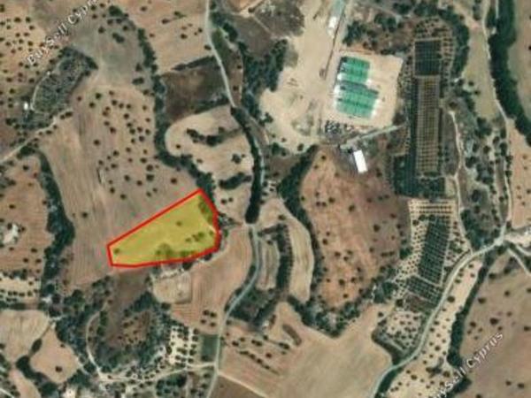 land for sale mazotos larnaca 8350857 image 14437052