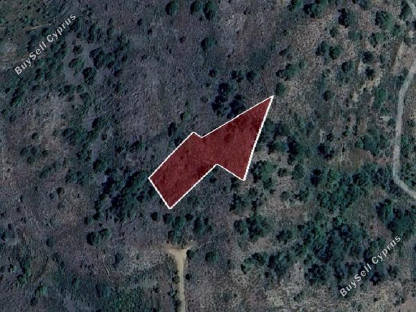 land for sale platanistasa nicosia 8003857 image 15596120