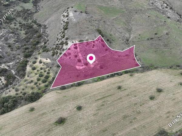 land for sale agios dimitrianos paphos 8542957 image 15522142