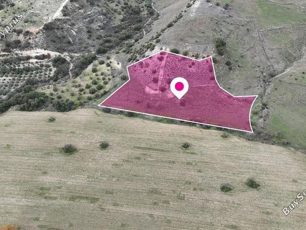 land for sale agios dimitrianos paphos 8542957 image 15522144