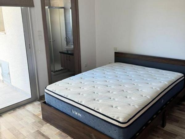 2 bedroom apartment for rent agios ioannis limassol 8716067 image 16293324