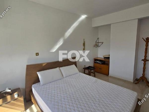 studio office for rent agia zoni limassol 7709067 image 14615133