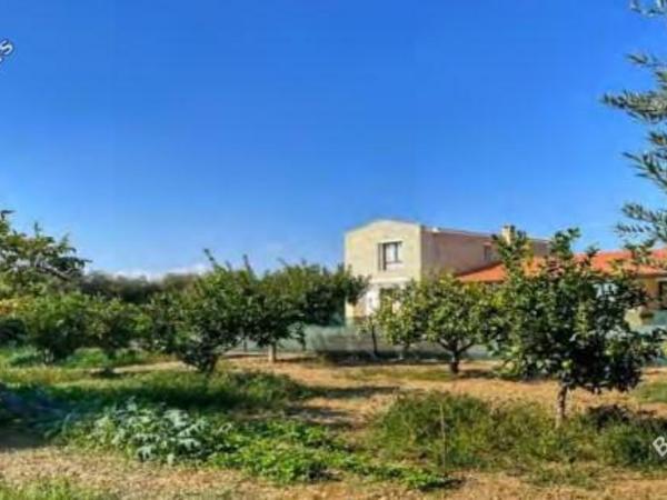 3 bedroom detached house for sale maroni larnaca 1682167 image 15588575