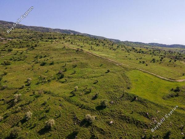 land for sale kelokedara paphos 8630167 image 17011507