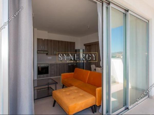 1 bedroom apartment for rent kato polemidia limassol 8458267 image 16563491