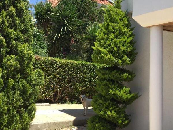 4 bedroom detached house for sale agios tychonas limassol 1725267 image 4625687