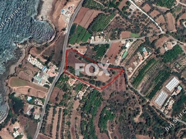 land for sale nea dimmata paphos 1270267 image 10032725