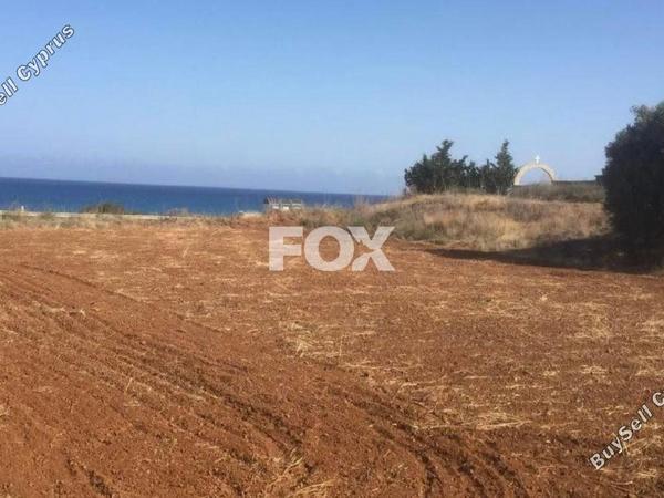 land for sale nea dimmata paphos 1270267 image 10032727